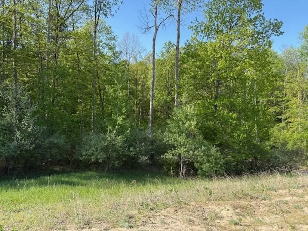 3062 Winchester Drive East Bay Township MI 49686