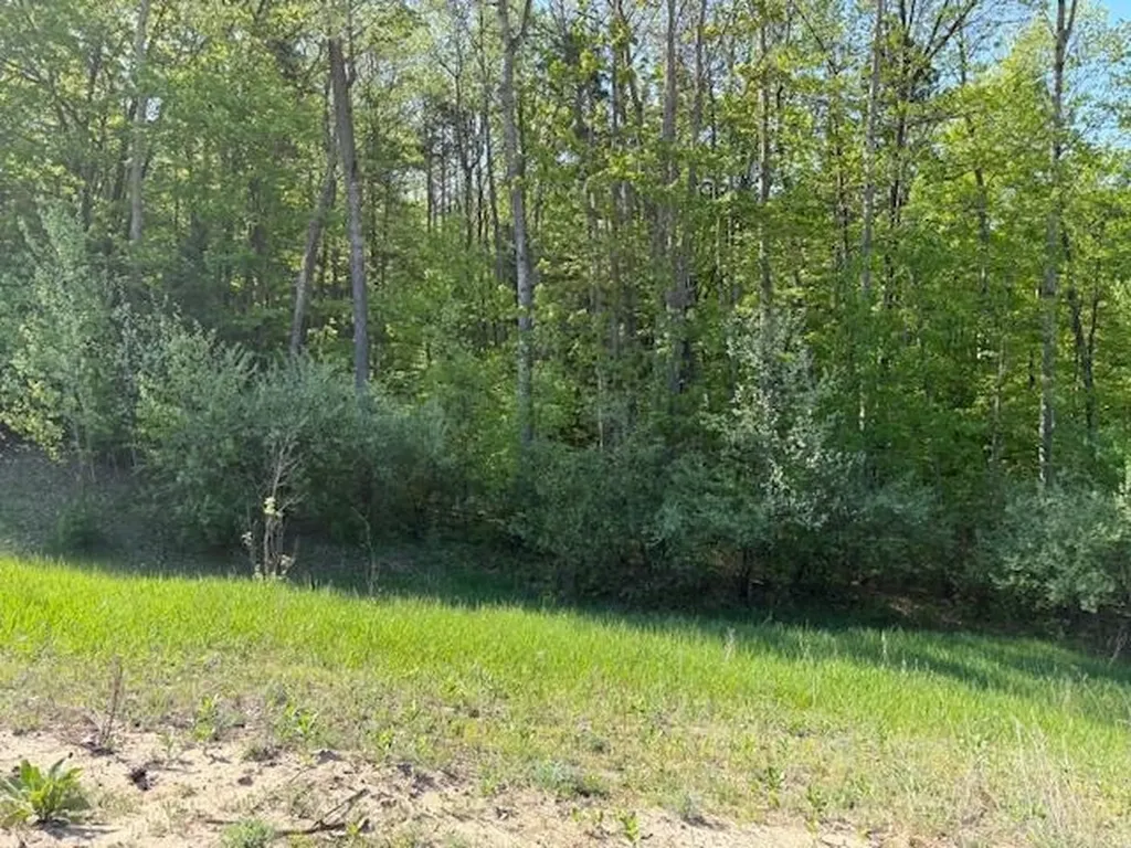 3062 Winchester Drive East Bay Township MI 49686