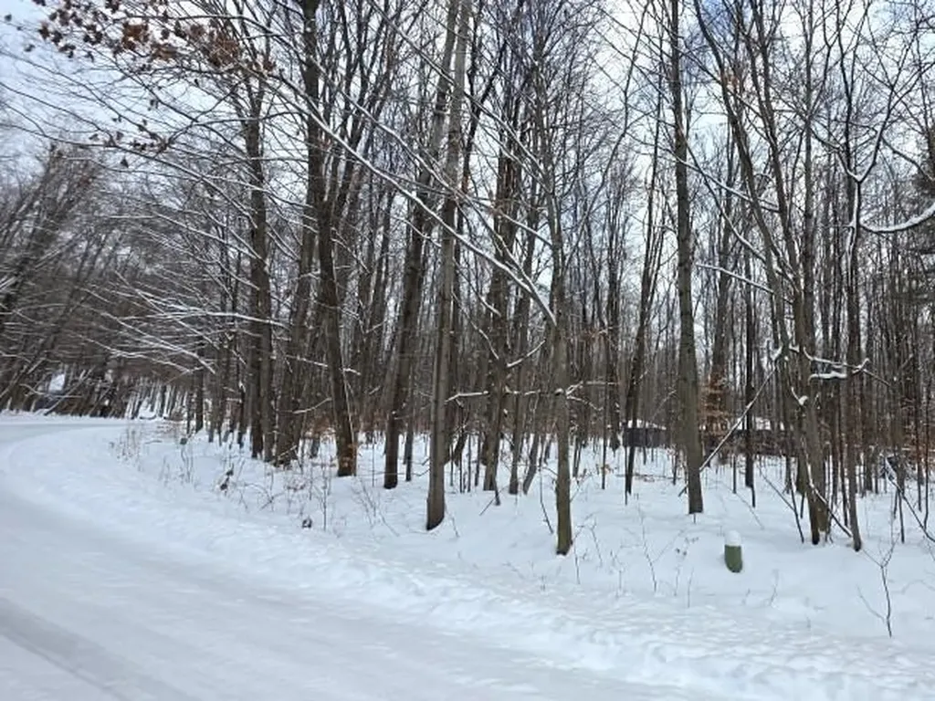 29 Undervalden Drive Custer Township MI 49615