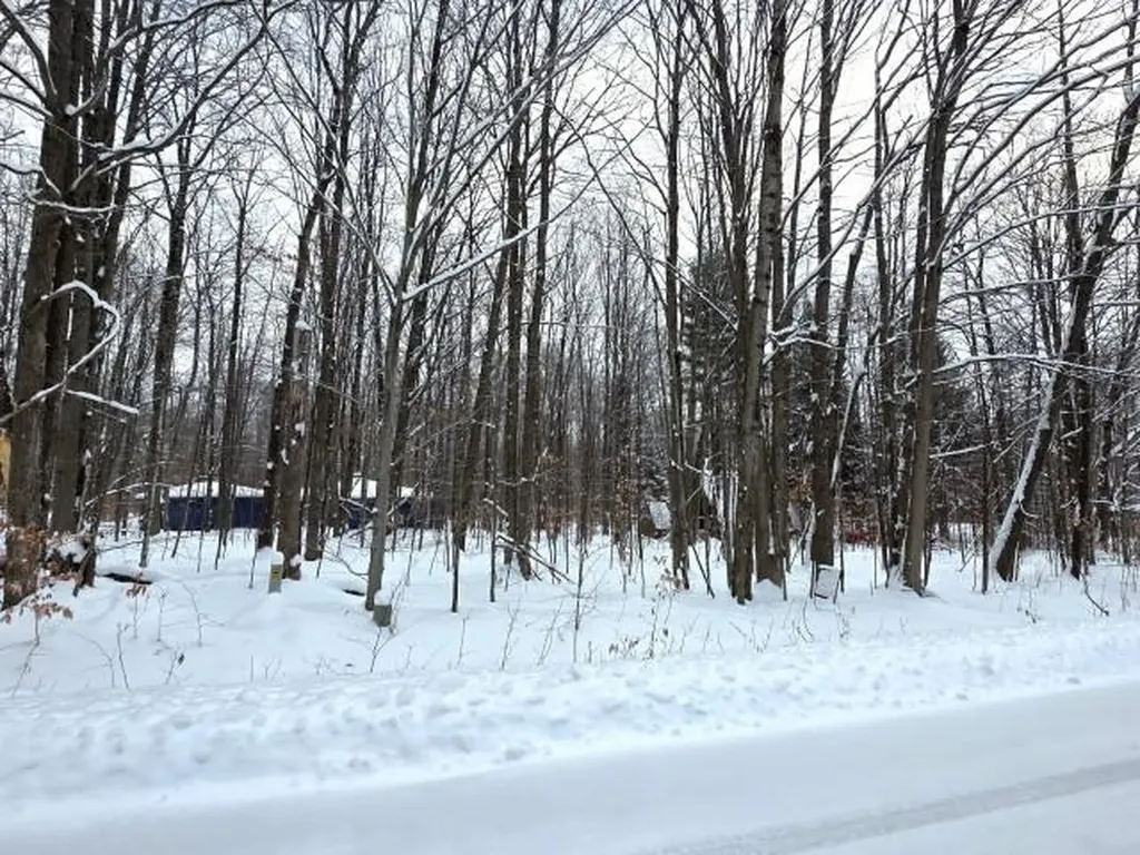 29 Undervalden Drive Custer Township MI 49615