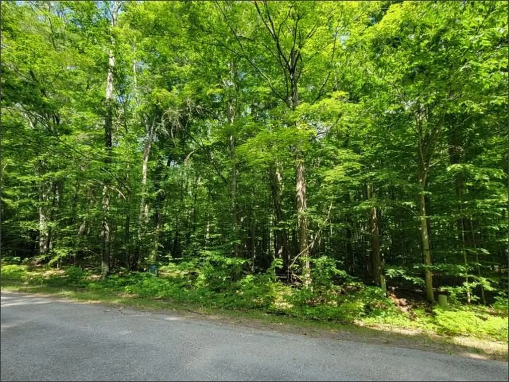 29 Undervalden Drive Custer Township MI 49615