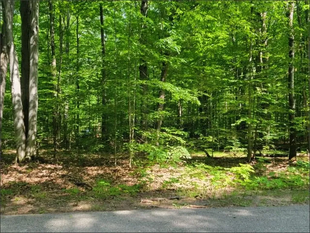 29 Undervalden Drive Custer Township MI 49615