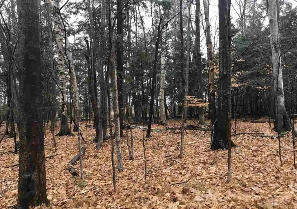 00 N Lighthouse Point Road Leelanau Township MI 49670