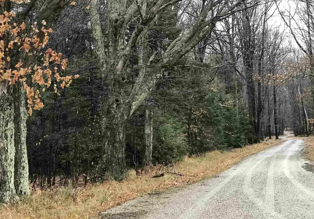 00 N Lighthouse Point Road Leelanau Township MI 49670