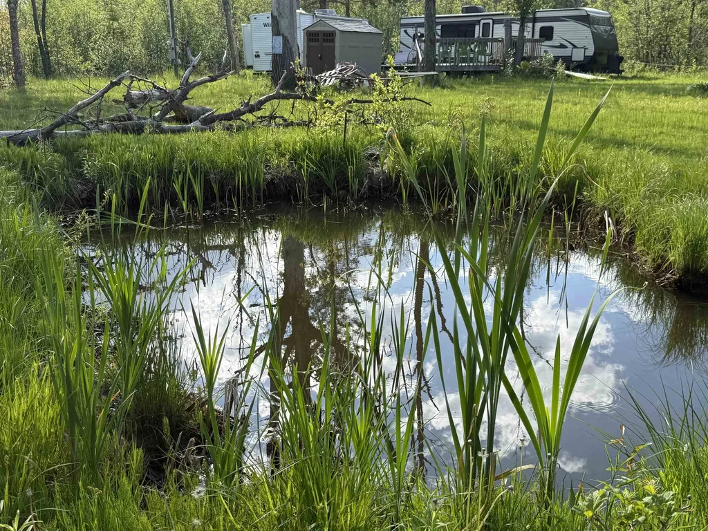 17110 21 Mile Road Sherman Township MI 49688