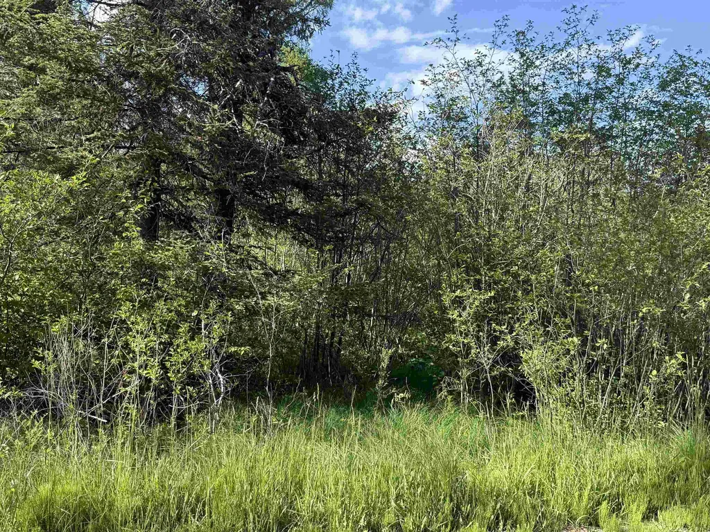 17110 21 Mile Road Sherman Township MI 49688