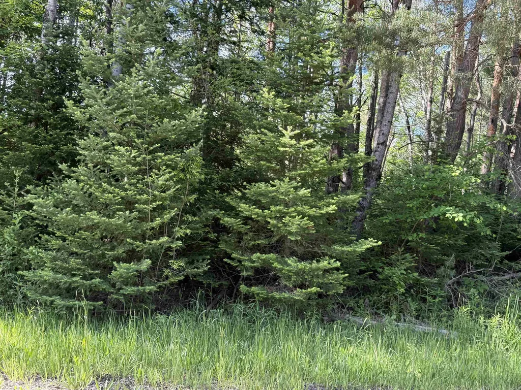 17110 21 Mile Road Sherman Township MI 49688