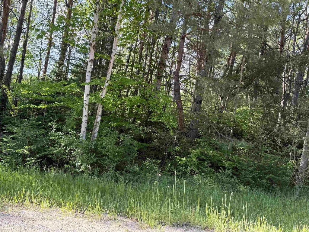 17110 21 Mile Road Sherman Township MI 49688