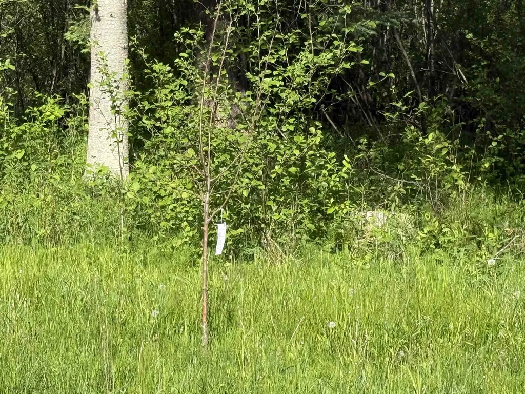 17110 21 Mile Road Sherman Township MI 49688