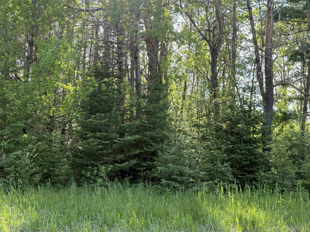 17110 21 Mile Road Sherman Township MI 49688