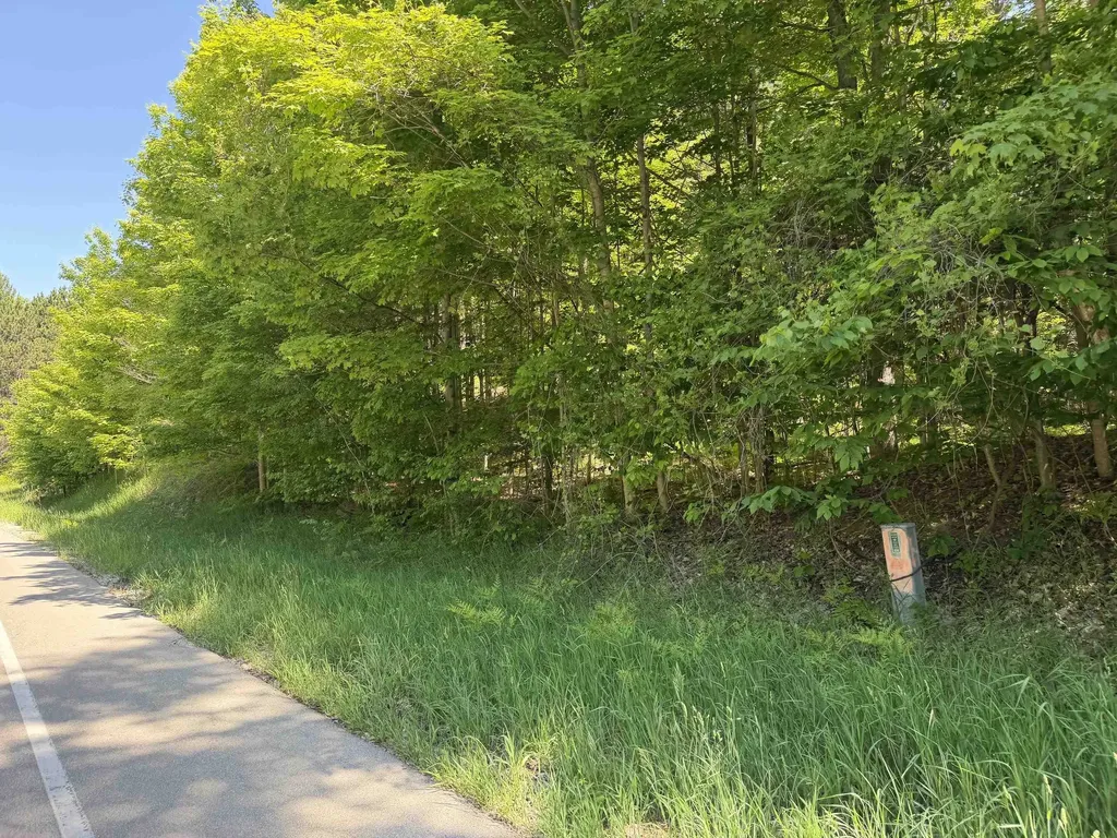 1 Shanty Creek Road Kearney Township MI 49615