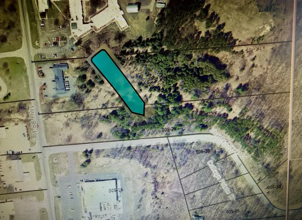 1 Shanty Creek Road Kearney Township MI 49615