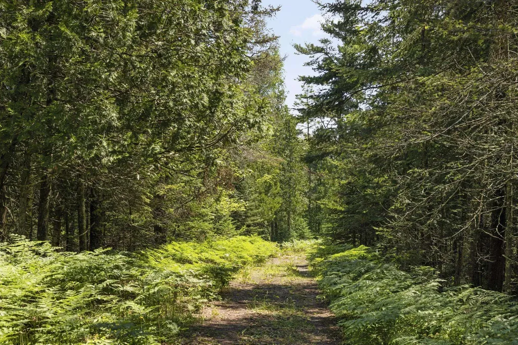 5343 Michibay Drive Manistique Township MI 49854