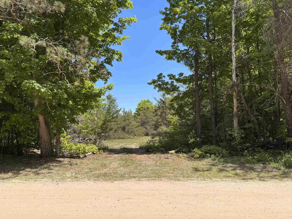 99 Pine Tree Lane Homestead Township MI 49617