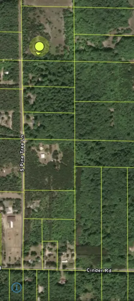 99 Pine Tree Lane Homestead Township MI 49617