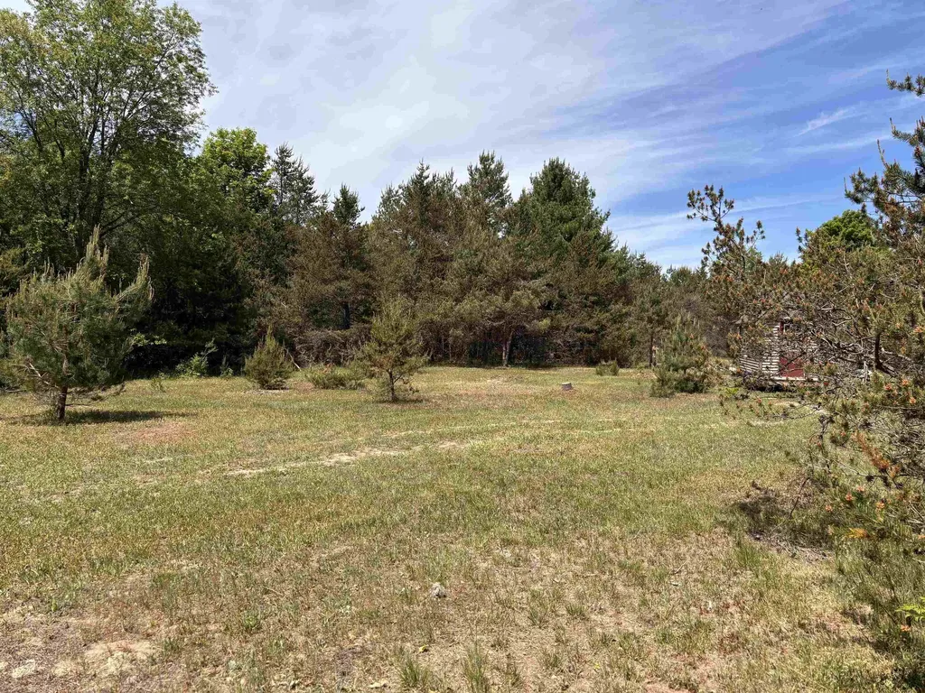 99 Pine Tree Lane Homestead Township MI 49617
