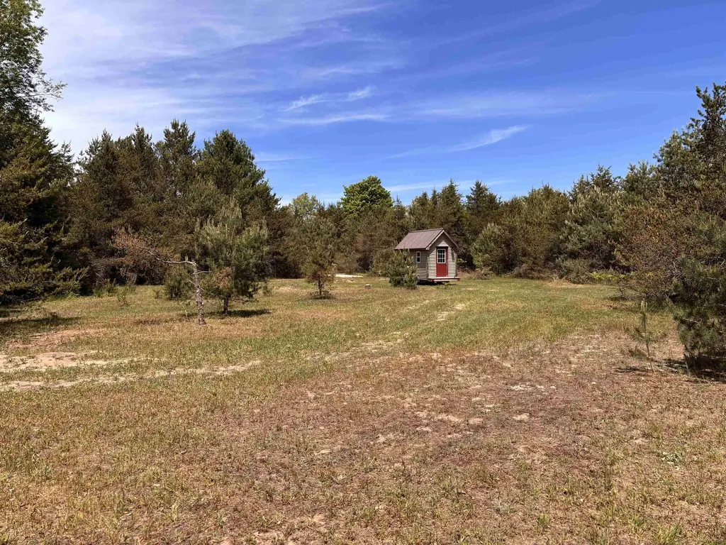 99 Pine Tree Lane Homestead Township MI 49617