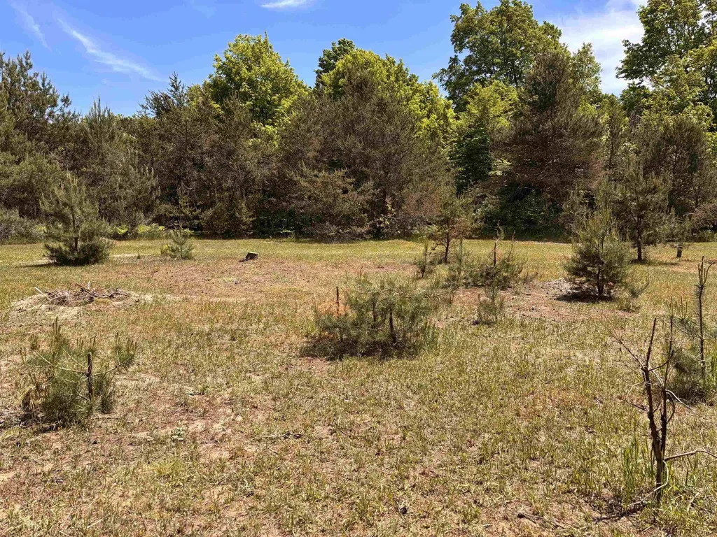 99 Pine Tree Lane Homestead Township MI 49617