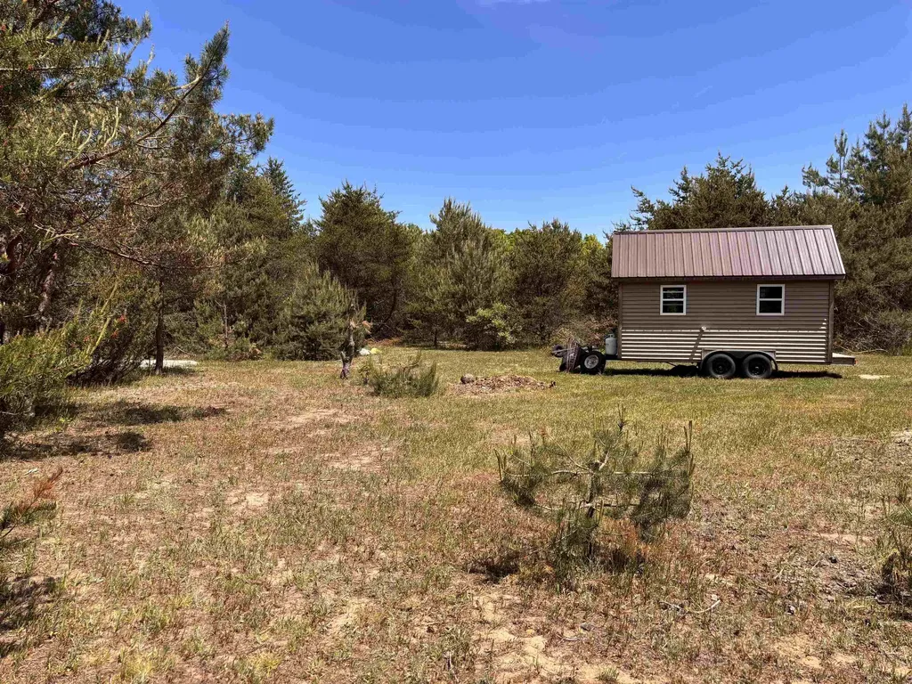 99 Pine Tree Lane Homestead Township MI 49617