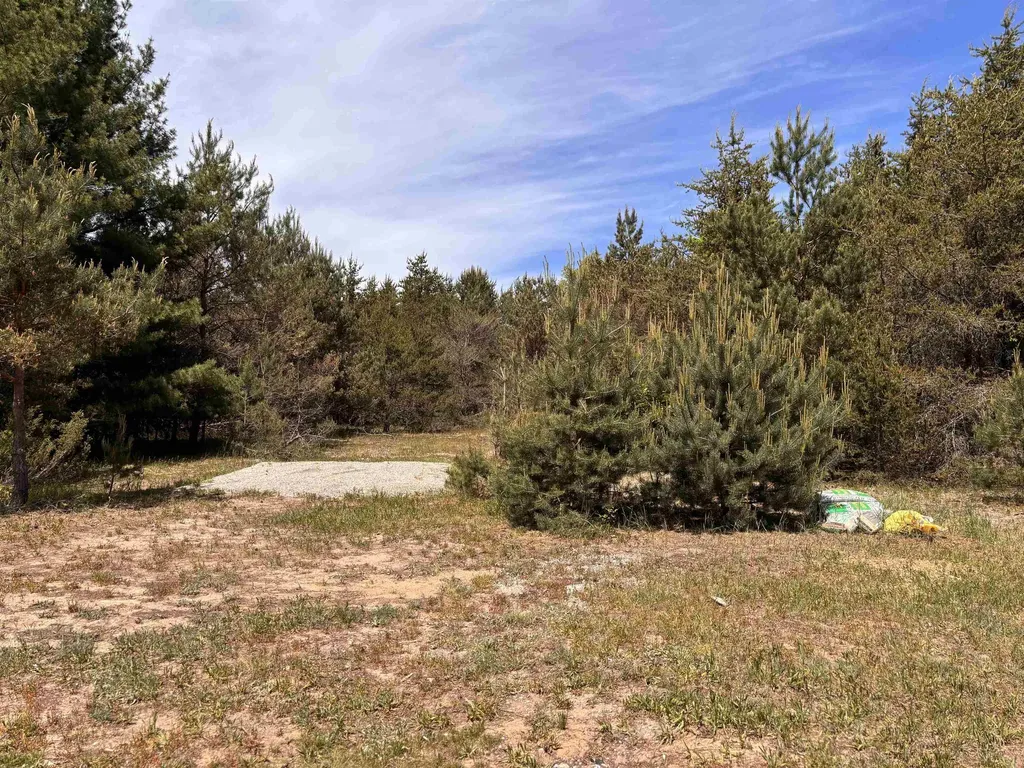 99 Pine Tree Lane Homestead Township MI 49617