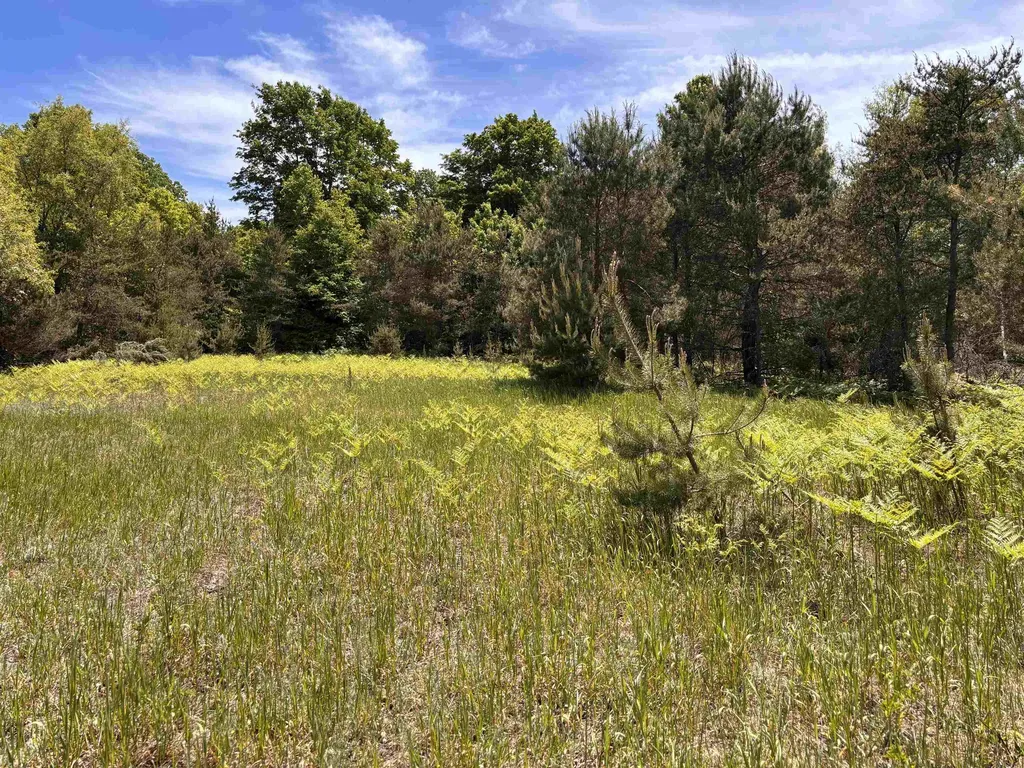 99 Pine Tree Lane Homestead Township MI 49617