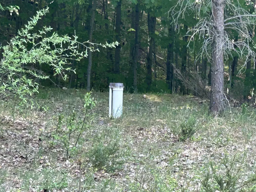 V/l Maple Ridge Drive Central Lake Township MI 49622