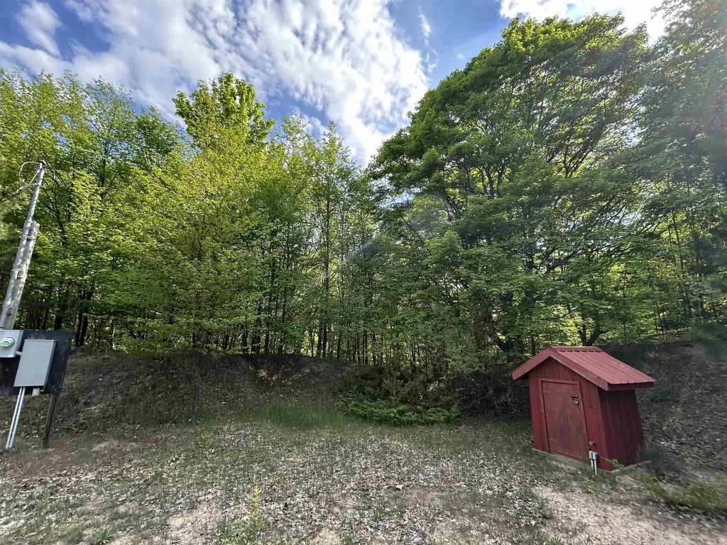 V/l Maple Ridge Drive Central Lake Township MI 49622