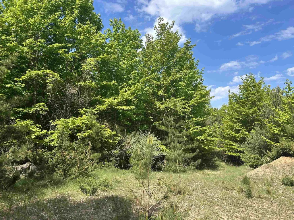 V/l Maple Ridge Drive Central Lake Township MI 49622