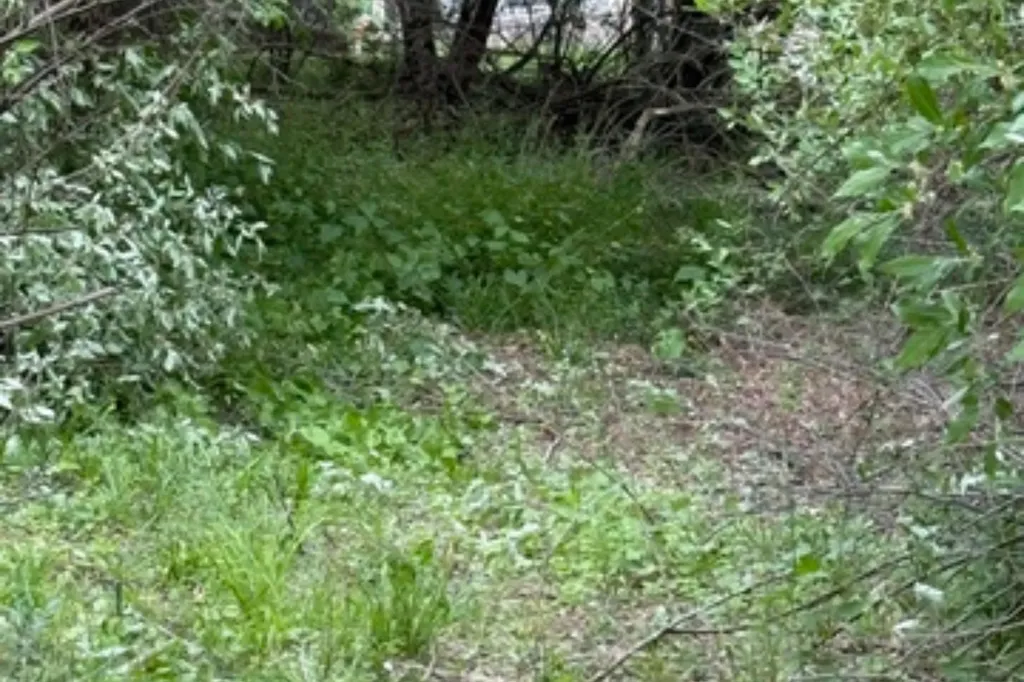 27 Bunker Hill Road Acme Township MI 49690