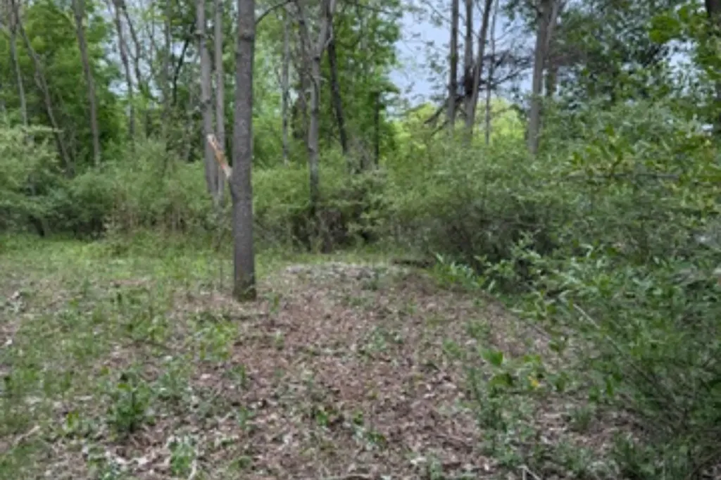 27 Bunker Hill Road Acme Township MI 49690