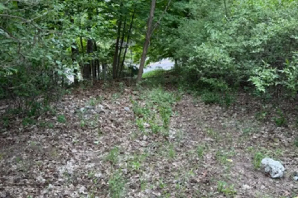 27 Bunker Hill Road Acme Township MI 49690