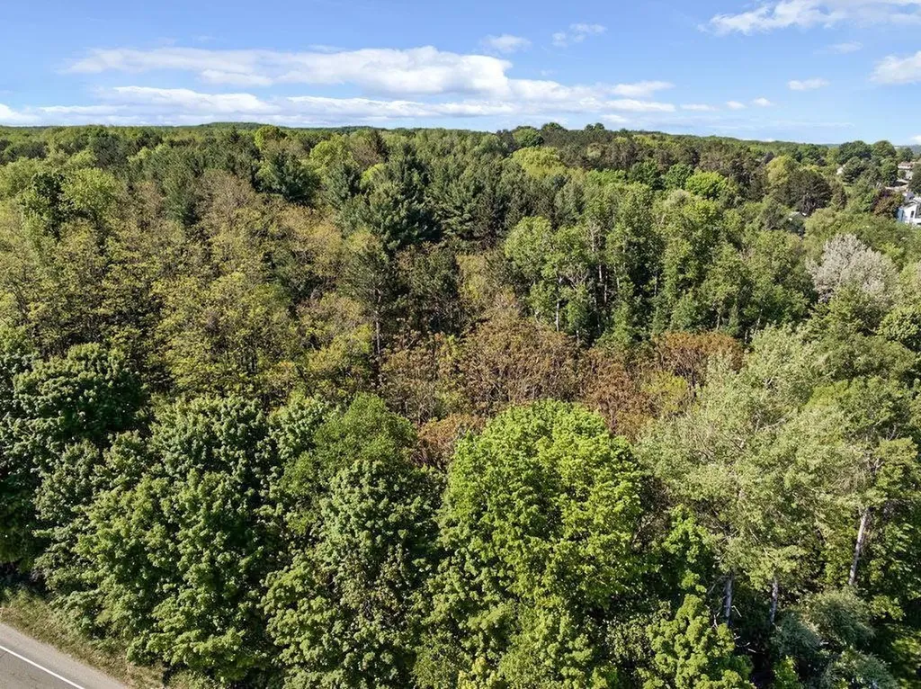 27 Bunker Hill Road Acme Township MI 49690