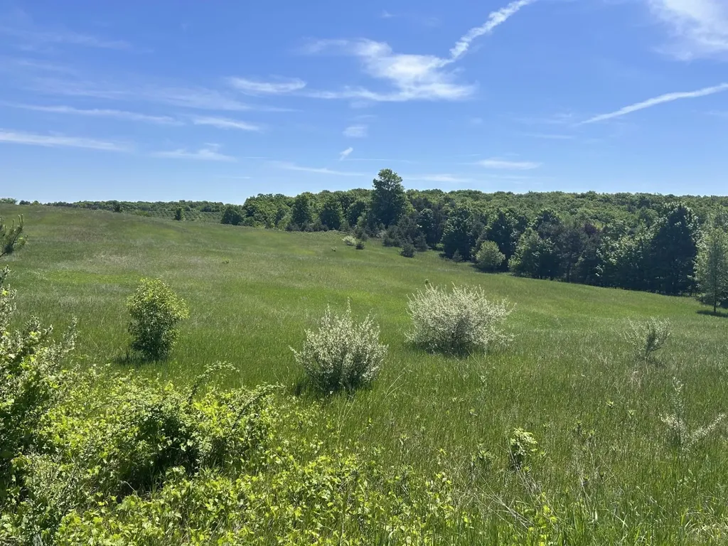 00 Maple Valley Road Bingham Township MI 49682