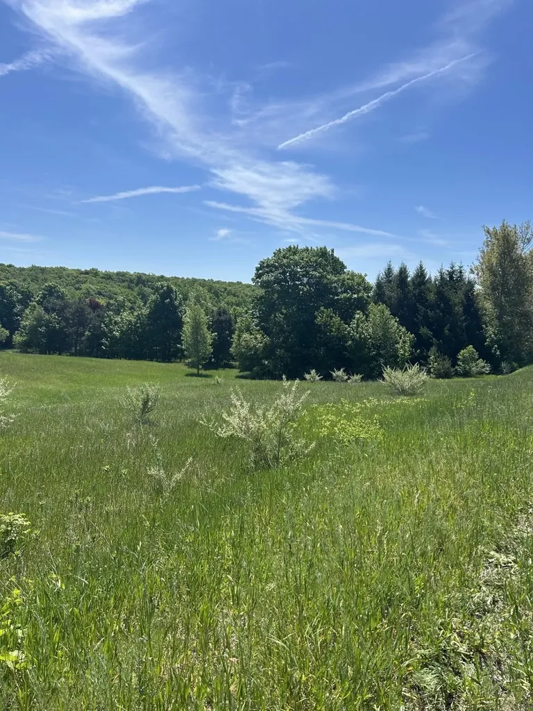 00 Maple Valley Road Bingham Township MI 49682