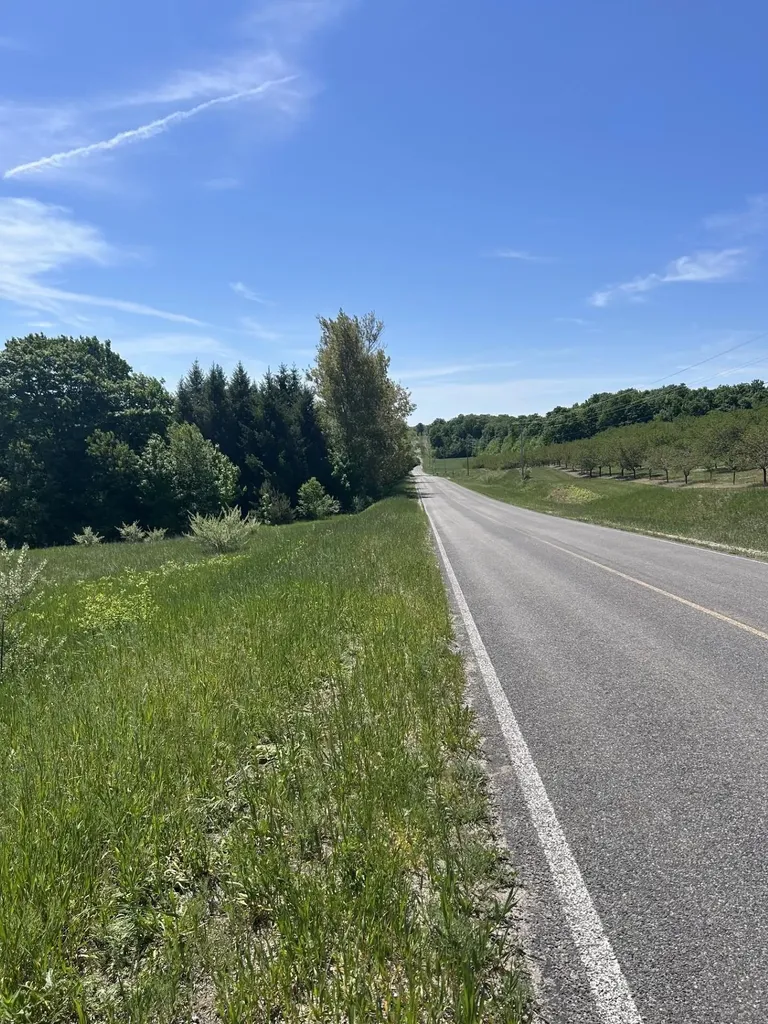 00 Maple Valley Road Bingham Township MI 49682