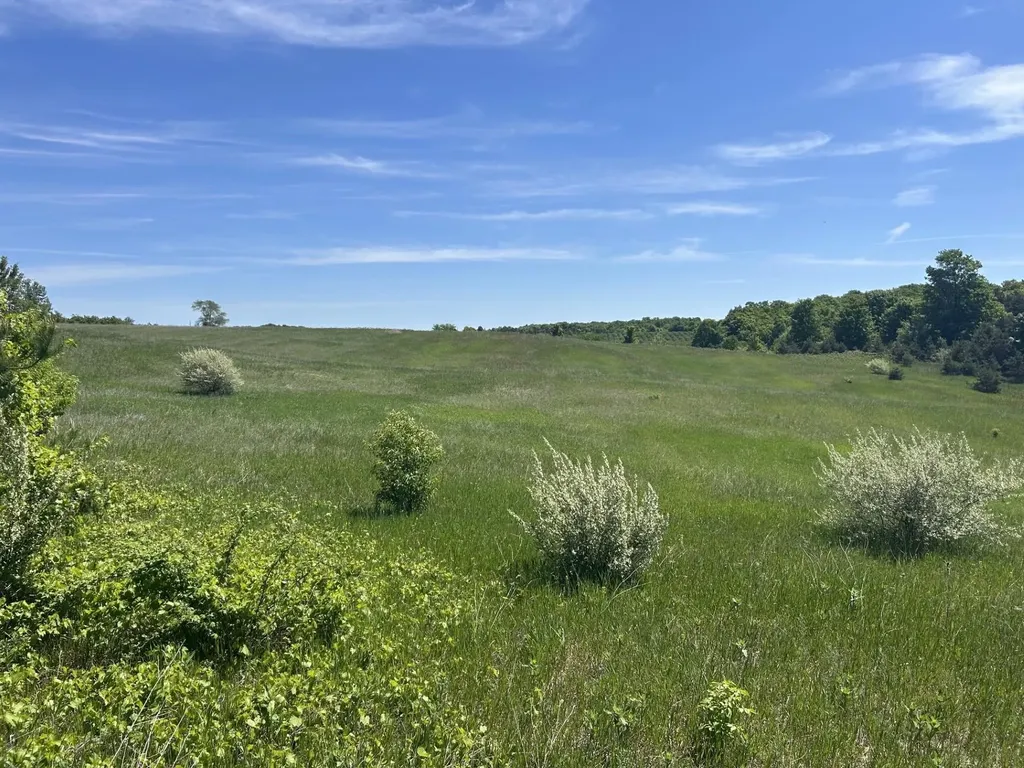 00 Maple Valley Road Bingham Township MI 49682