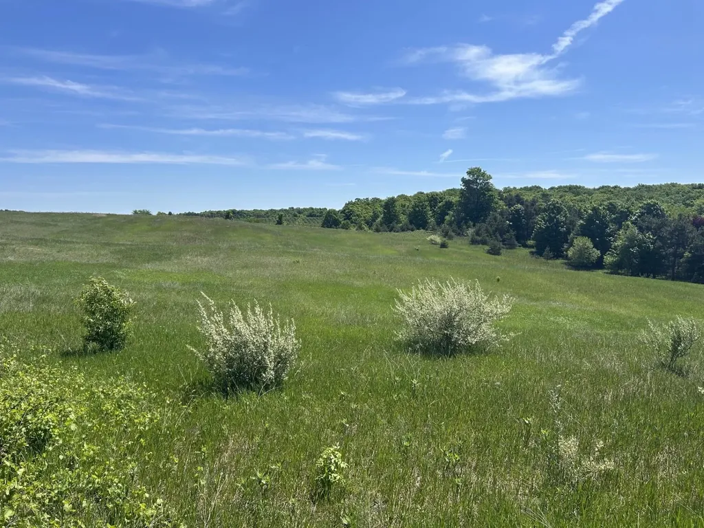 00 Maple Valley Road Bingham Township MI 49682