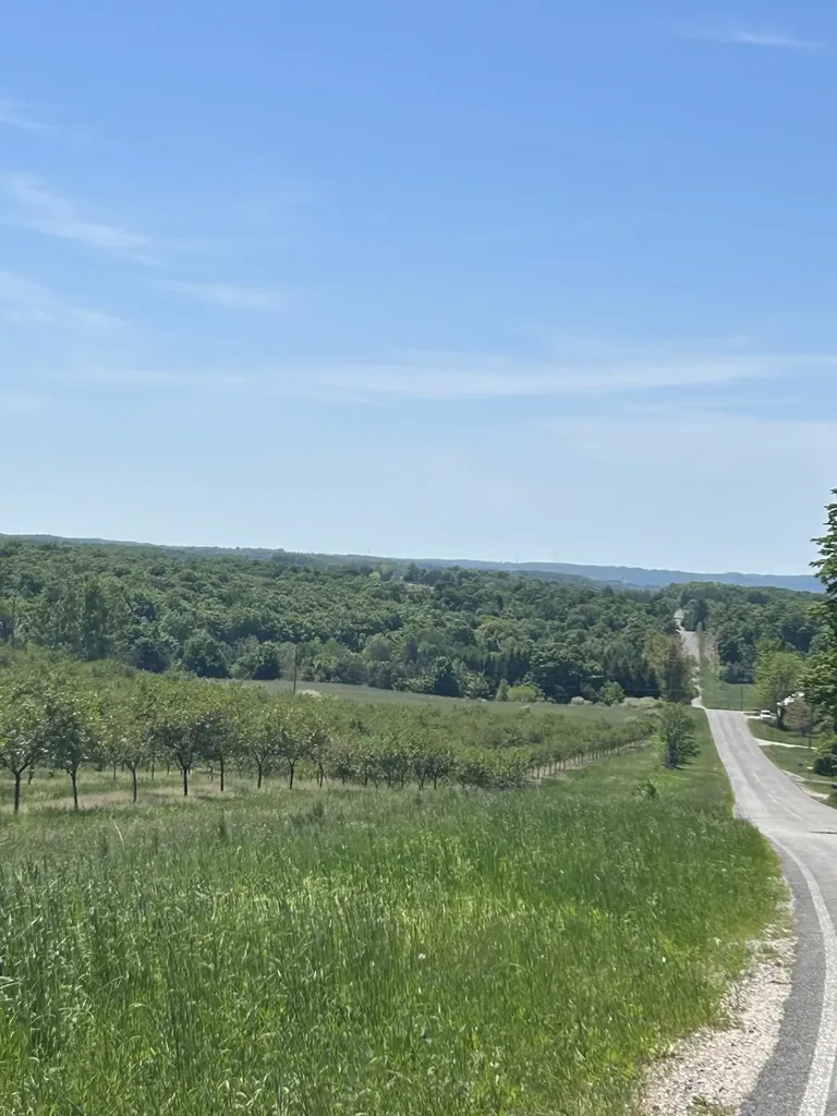 00 Maple Valley Road Bingham Township MI 49682