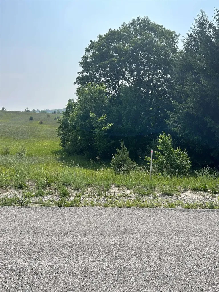 00 Maple Valley Road Bingham Township MI 49682