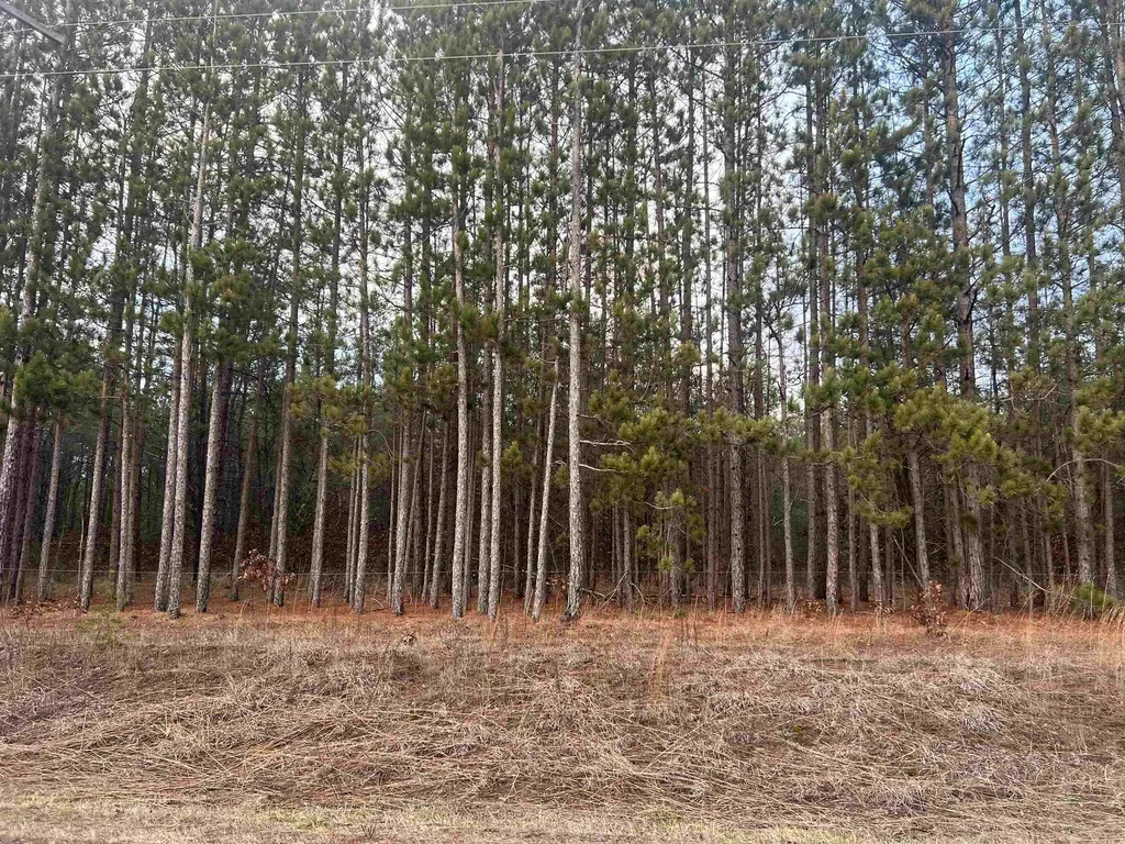 2214 E 56th Street Yates Township MI 49623
