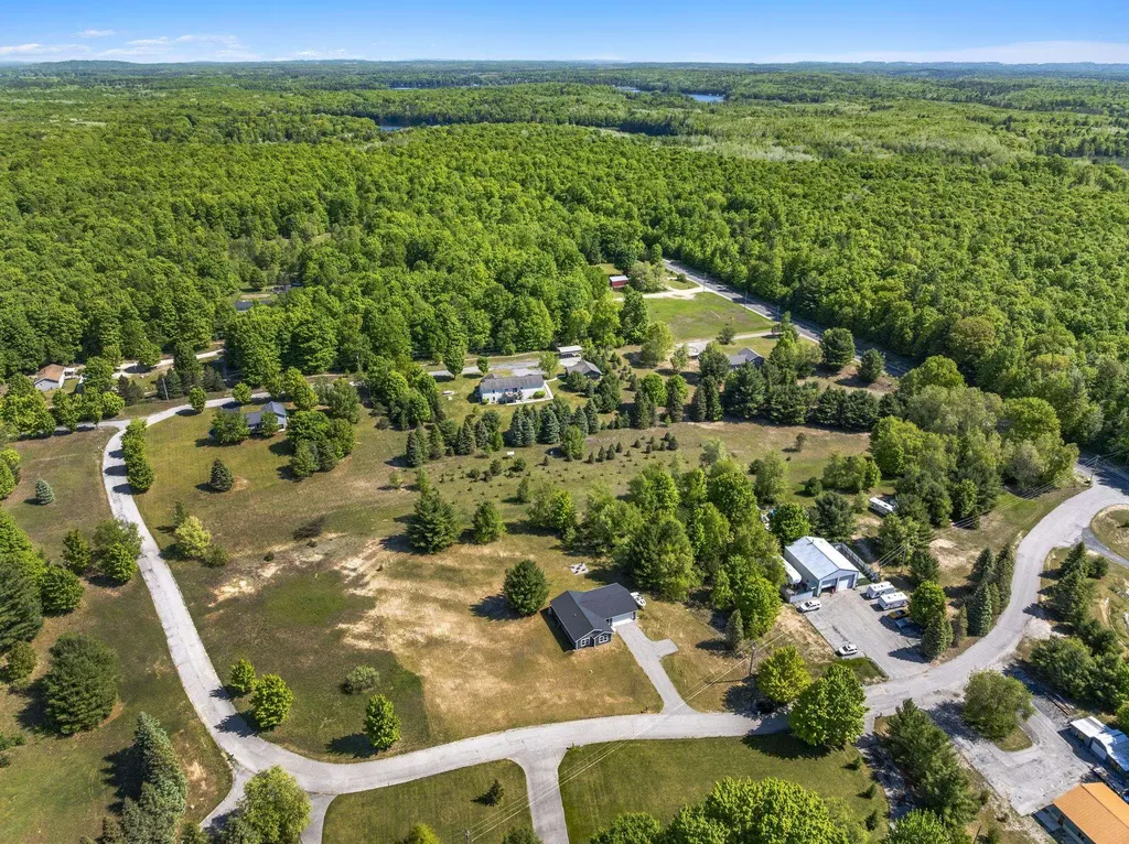18880 Lance Lane Inland Township MI 49643