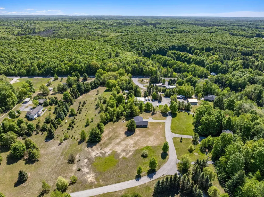 18880 Lance Lane Inland Township MI 49643
