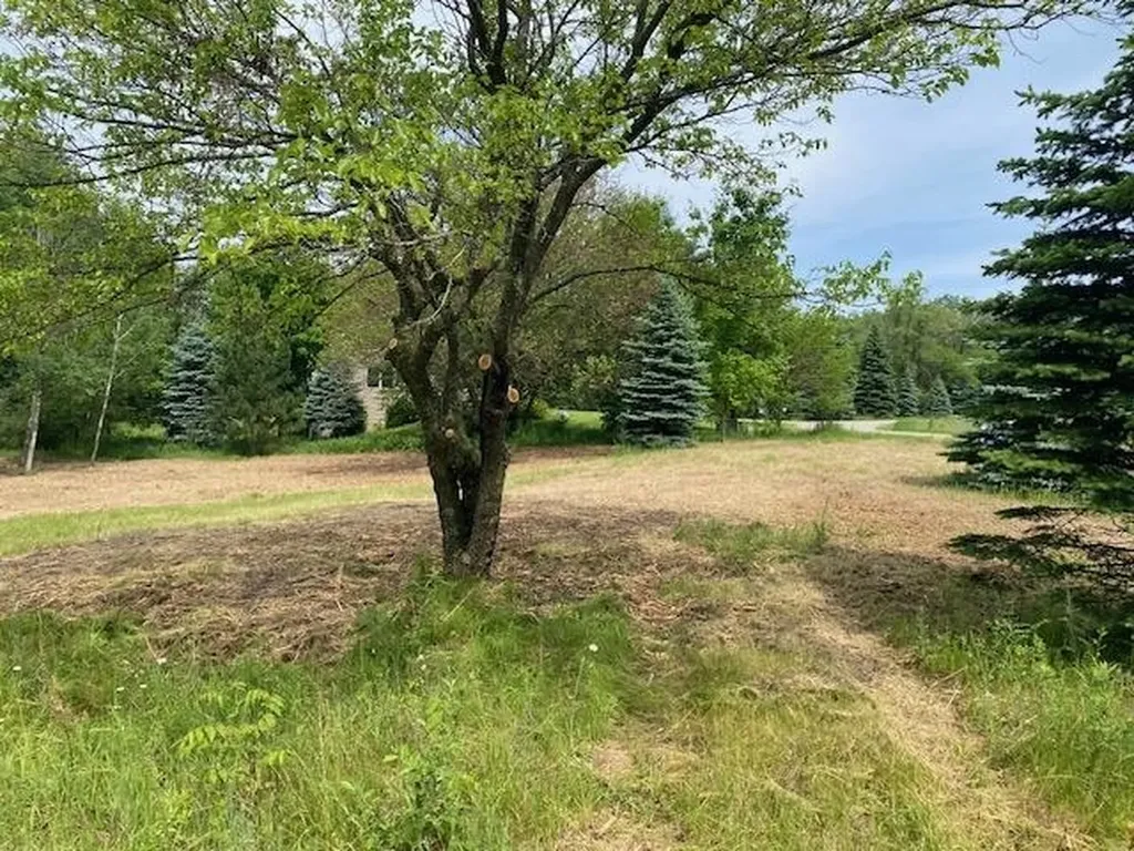 #4 Lyns Court Elk Rapids Township MI 49690