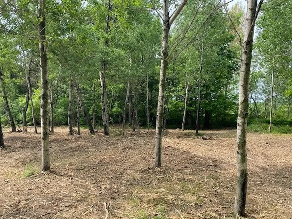 #4 Lyns Court Elk Rapids Township MI 49690