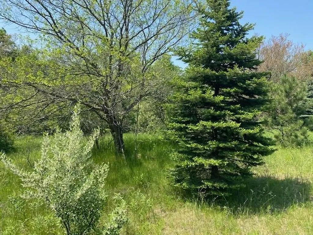 #4 Lyns Court Elk Rapids Township MI 49690
