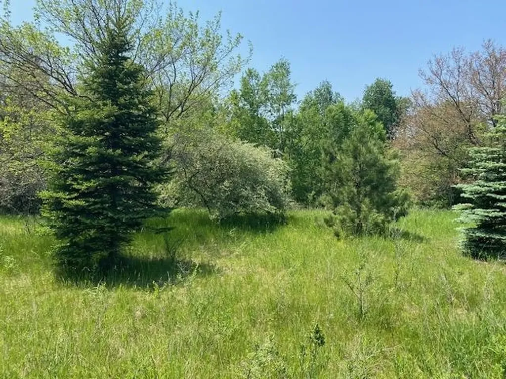 #4 Lyns Court Elk Rapids Township MI 49690