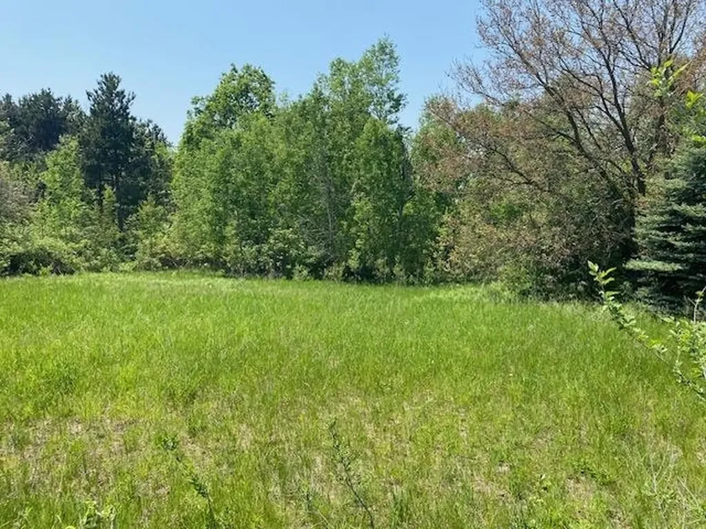 #4 Lyns Court Elk Rapids Township MI 49690