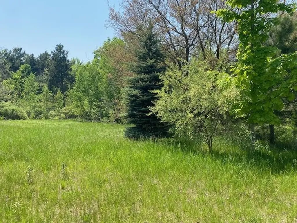 #4 Lyns Court Elk Rapids Township MI 49690