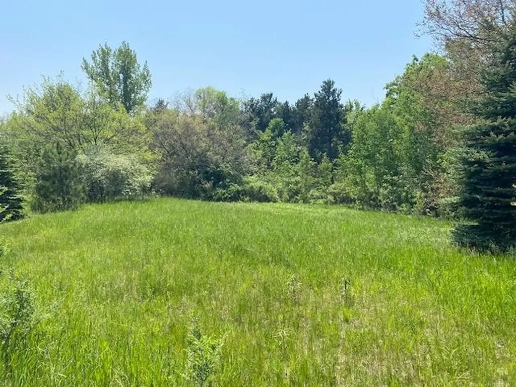 #4 Lyns Court Elk Rapids Township MI 49690