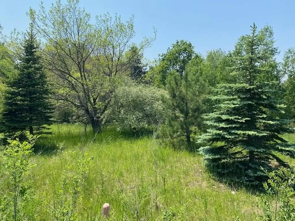 #4 Lyns Court Elk Rapids Township MI 49690